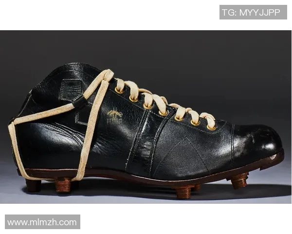 世界杯球星选择的足球鞋品牌与款式分析及其对比赛表现的影响